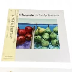 浜田省吾 LPレコードコレクション 12枚セット 激レア非売品サンプルLPレコード)浜田省吾 LPレコードセット&おまけ
