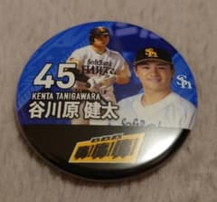 福岡ソフトバンクホークス　缶バッジのサムネイル