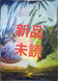Wicked 위키드 브로셔