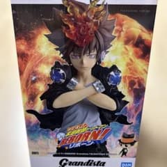 家庭教師ヒットマンREBORN! 沢田綱吉 Grandista フィギュア未開封のサムネイル