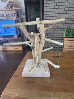 卓上バードジムのサムネイル