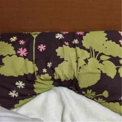 枕のサムネイル
