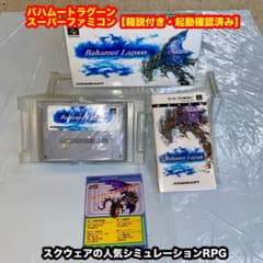 バハムートラグーン 【箱説付き・起動確認済み】SFCスーパーファミコン