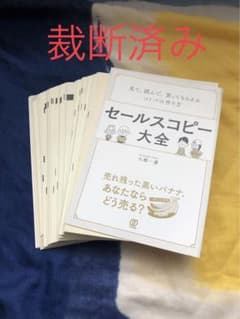 セールスコピー大全 見て、読んで、買ってもらえるコトバの作り方のサムネイル