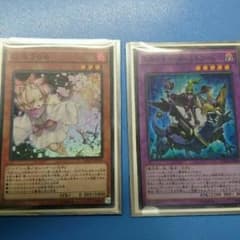 即購入可 エルシャドールミドラーシュ はるうらら とその他のサムネイル