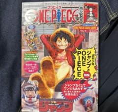 新品・未読本 集英社 ワンピースマガジン 20号 ルフィ プロモ付き 1冊