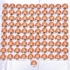 m20600768481_1.jpg?1769955546