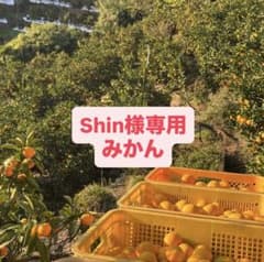 Shin様専用のサムネイル