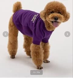 Mandarine Brothers 犬服　パープルのサムネイル