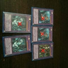 遊戯王 ブラックマジシャン アミュレットドラゴン 竜騎士ブラックマジシャンのサムネイル
