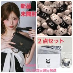 新品 未開封】 ダーリッチ ノベルティ 2WAYフラップスクエアバッグ 2点 