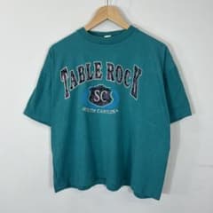 【US古着】ペイズリー柄デカロゴ サウスカロライナ Tシャツ 希少カラーのサムネイル