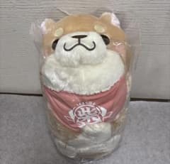【新品】忠犬もちしば　ででーんと超BIGぬいぐるみ　さくら　犬