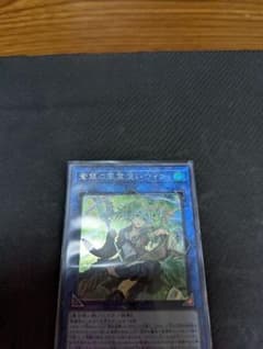 蒼翠の風霊使い ウィン シークレットのサムネイル