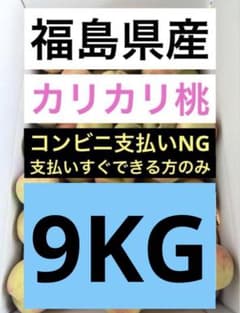 最終値下げ カリカリ桃 9KG はつひめ - メルカリ