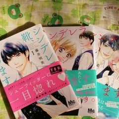 ちぃさん専用　シンデレラの靴あります全3巻のサムネイル