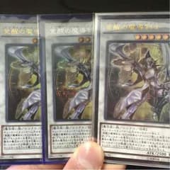 遊戯王 エンライトメントパラディンのサムネイル