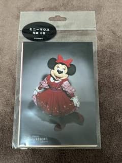 ミニー　写真　実写　写真セット　スペフォ スペシャルフォト　ディズニー　tdr