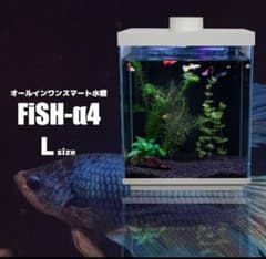 小型オールインワンスマート水槽多機能水槽 FSH-210T FiSH-α4 - メルカリ