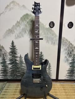 PRS SE Custom24 Whale Blueのサムネイル