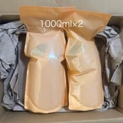 新品ADJUVANTアジュバンRe:エミサリーシャンプー 1000ml 2個 - メルカリ