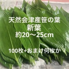 天然会津産笹の葉 新葉100枚+おまけ何枚かのサムネイル