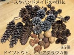 リース•ハンドメイド材料などにどうぞ 【松ぼっくり•ナッツ類 大小35個セット】のサムネイル