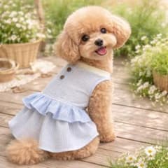 犬服 フリル付きワンピース 水色と白のストライプ 春服 可愛い 爽やか