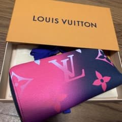 LOUIS VUITTONレア長財布のサムネイル