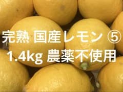 完熟 国産レモン 1.4kg 農薬不使用 ⑤のサムネイル