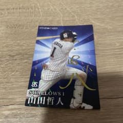 m20684057380_1.jpg?1736250107