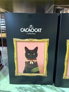 DADACA CACAOCAT Collectionのサムネイル
