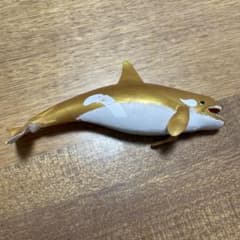 くじら&coビッグ　レア　金シャチのサムネイル