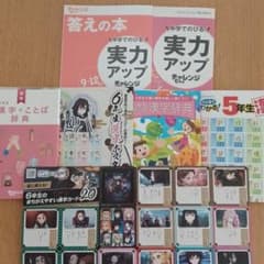 進研ゼミ チャレンジ 小学講座 5年生 6年生 漢字辞典 問題集のサムネイル