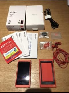 WALKMAN A35 16GB ノイズキャンセリングイヤホン付きのサムネイル