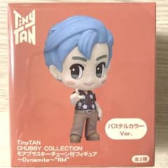 TinyTAN 모어 프라 스키 체인이있는 피겨 dynamite RM