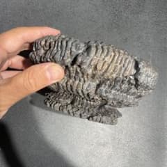 tacson タクソン　希少　rawlifefactory　　ローライフ 美中古 tacson タクソン 希少 rawlifefactory ローライフ 美中古 - メルカリ