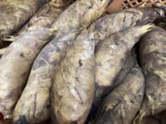 早掘り筍1キロ - メルカリ