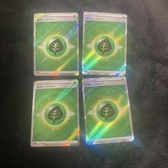 ポケモンカード　基本エネルギー SR  草のサムネイル