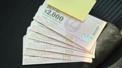 JAL クーポン 12,000円分です。のサムネイル