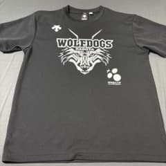 WOLFDOGS 名古屋Tシャツ Lサイズ - メルカリ