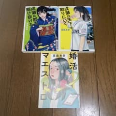 宮島未奈 成瀬シリーズ 2冊+婚活マエストロの3冊セット - メルカリ