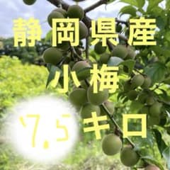 ［タイムセール］静岡県産 小梅 7.5キロ　青梅 タイムセール］静岡県産 小梅 7.5キロ 青梅 - メルカリ