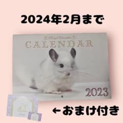 チンチラ カレンダー 2023 ロイヤル Royal Chinchillaのサムネイル