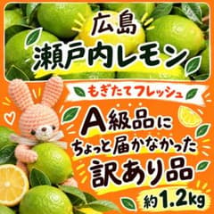 7-5 広島 瀬戸内 レモン ちょっ〜とおしい グリーンレモン 約1.2kg