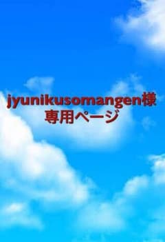 ※jyunikusomangen様専用※のサムネイル