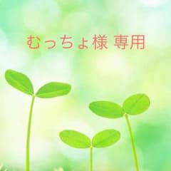 綺麗な春色 オレンジ カットソーのサムネイル