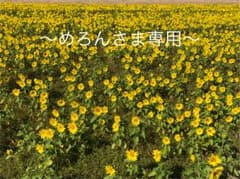 【めろんさま専用】ジェラートピケショートパンツ＋腹巻きのサムネイル