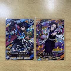 鬼滅の刃 日輪刀バトルスラッシュ 富岡義勇 胡蝶しのぶ SR 2枚 - メルカリ