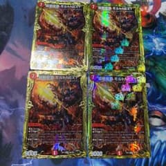 モルトnext bのサムネイル